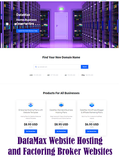 DataMax Website Hosting and Domains
