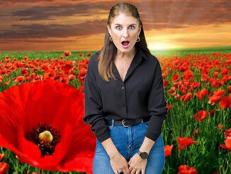 Avoiding Tall Poppy Syndrom