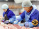Factoring Meat and Poultry Producers
